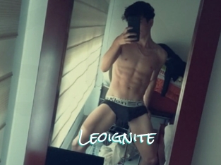 Leoignite