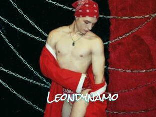 Leondynamo