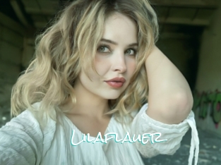 Lilaflauer
