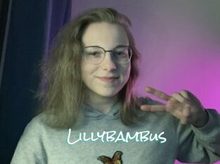 Lillybambus
