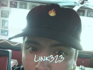 Link323