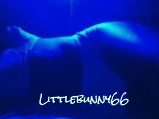 Littlebunny66