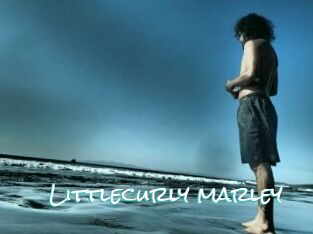 Littlecurly_marley