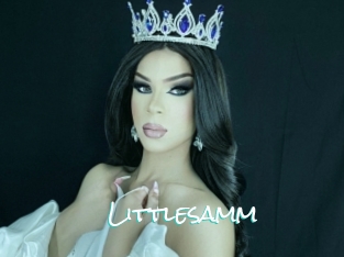 Littlesamm