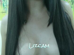Lizcam