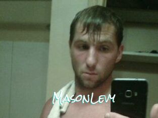 Mason_Levy