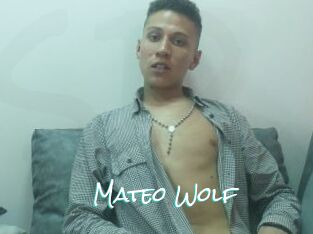 Mateo_Wolf