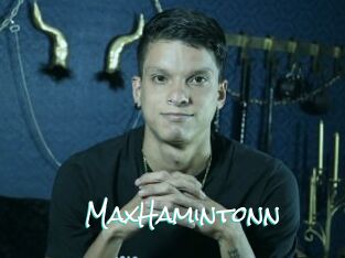 MaxHamintonn