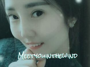 Meetyouinthewind