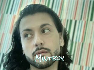 Mintboy