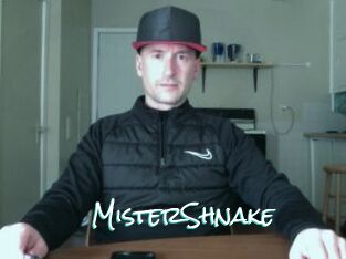 MisterShnake