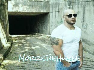 MorrisTheHumme