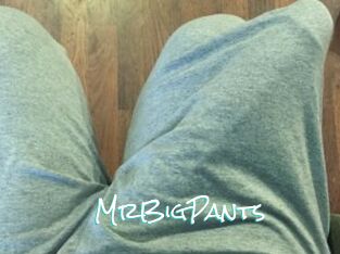 MrBigPants