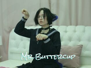 Mr_Buttercup