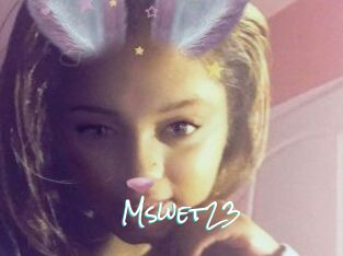 Mswet23