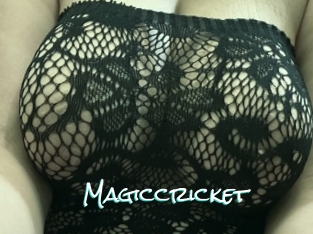 Magiccricket