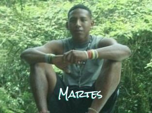 Martes