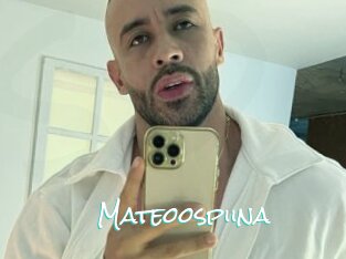 Mateoospiina