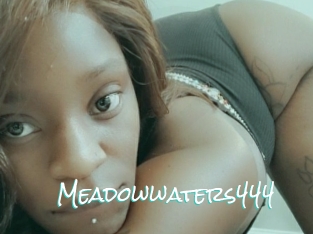 Meadowwaters444