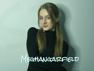 Meghangarfield