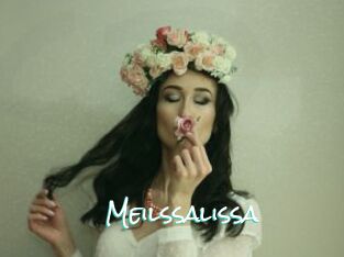 Meilssalissa