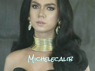 Michelecalib