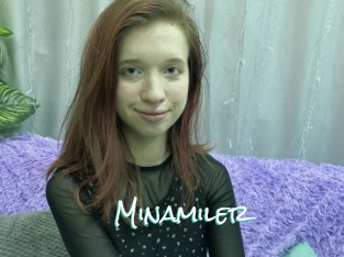 Minamiler