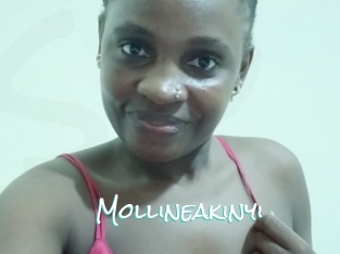 Mollineakinyi