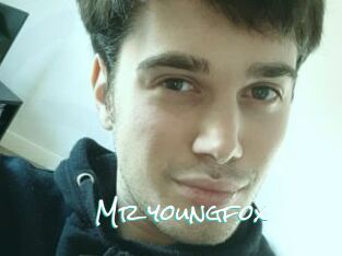Mr_youngfox