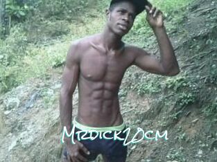 Mrdick20cm