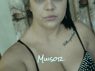 Muisor