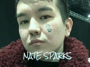 NATE_SPARKS