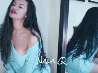 Nala_Q