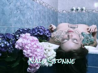 Nale_Stonne