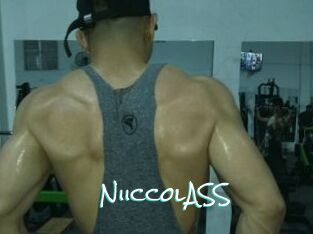 NiiccolASS