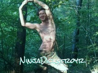 NinjaDickstroyr