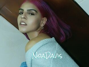 NoaDavis
