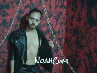 NoahCum