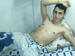 Noah_Bunny