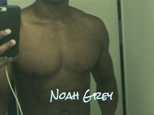 Noah_Grey