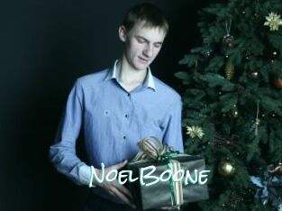 NoelBoone