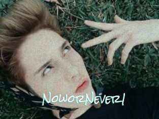 NoworNever1