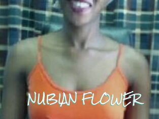 _NUBIAN_FLOWER_