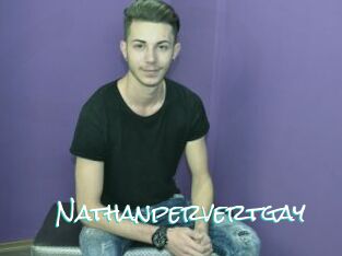 Nathanpervertgay