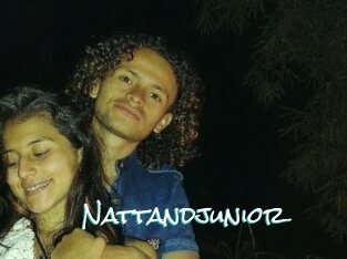 Nattandjunior