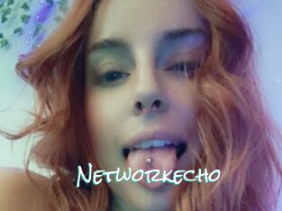 Networkecho