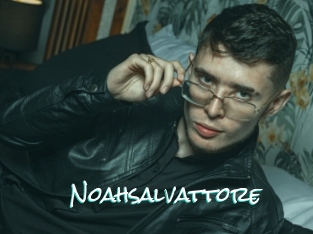 Noahsalvattore