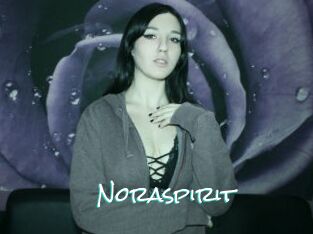 Noraspirit