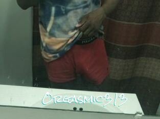 Orgasmic313