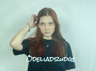 Odeliadrudge